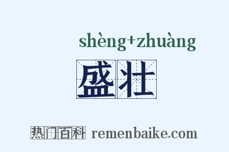 盛壮是什么意思的图片